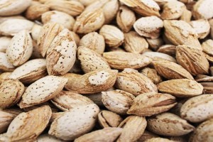 Almendra from Pakistán
